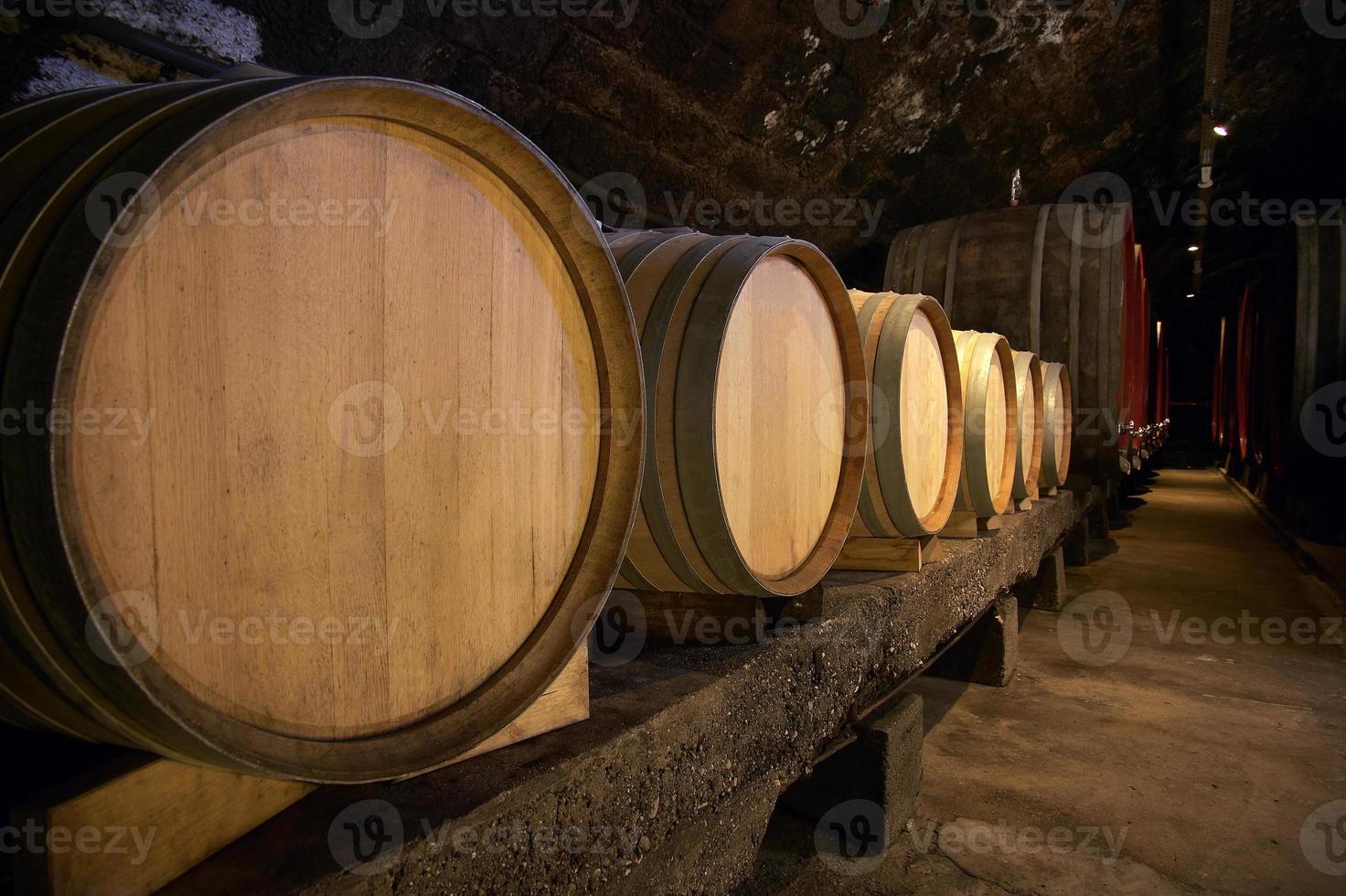 barris de vinho na adega foto