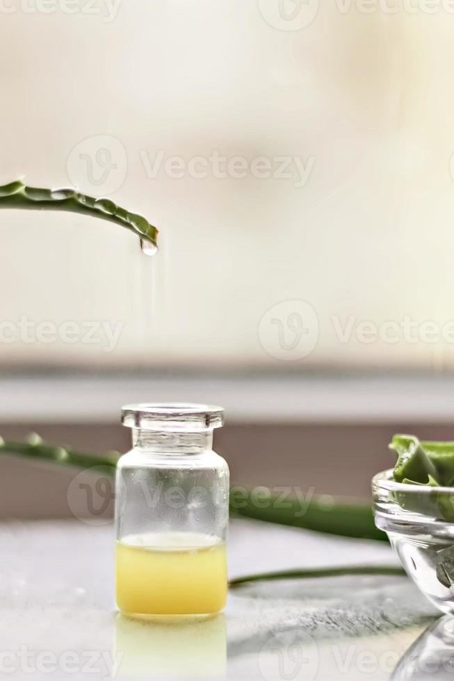pedaços de planta de babosa com gel dentro em uma tigela de vidro de close-up. Medicina alternativa. coleta de suco de aloe, para o tratamento de doenças de pele. foto