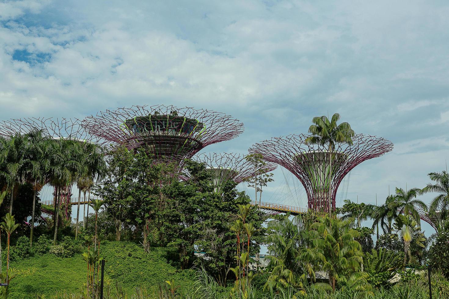 singapore, 12 de maio, jardins da baía em 12 de março de 2014 em singapore. jardins da baía foi coroado edifício mundial do ano no festival mundial de arquitetura 2012 foto