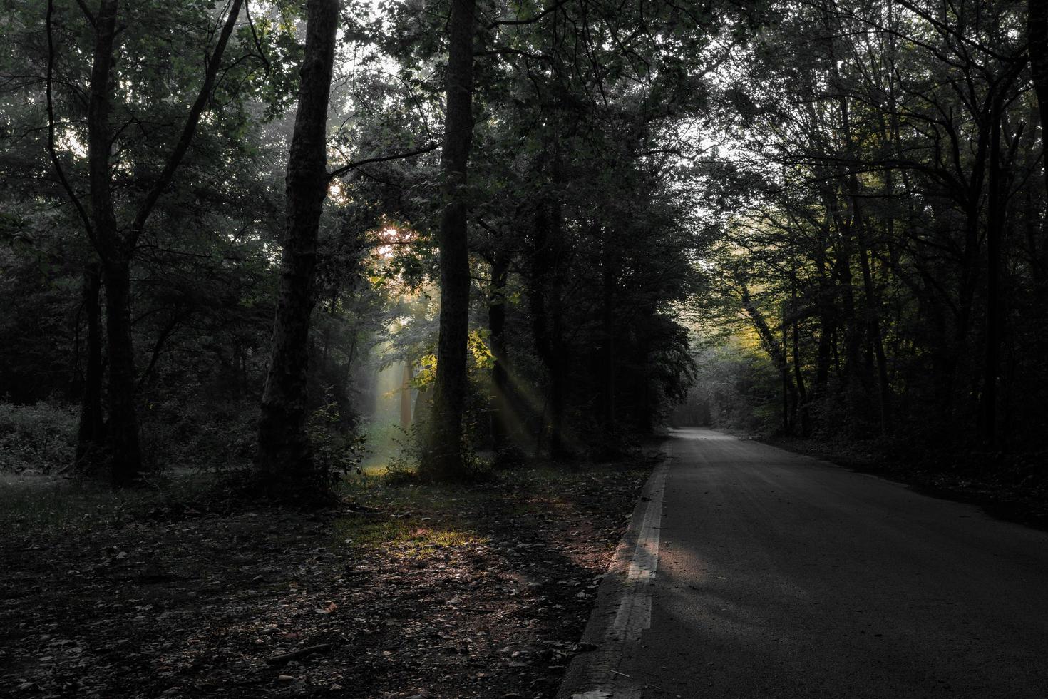 sol lançando luz na estrada foto