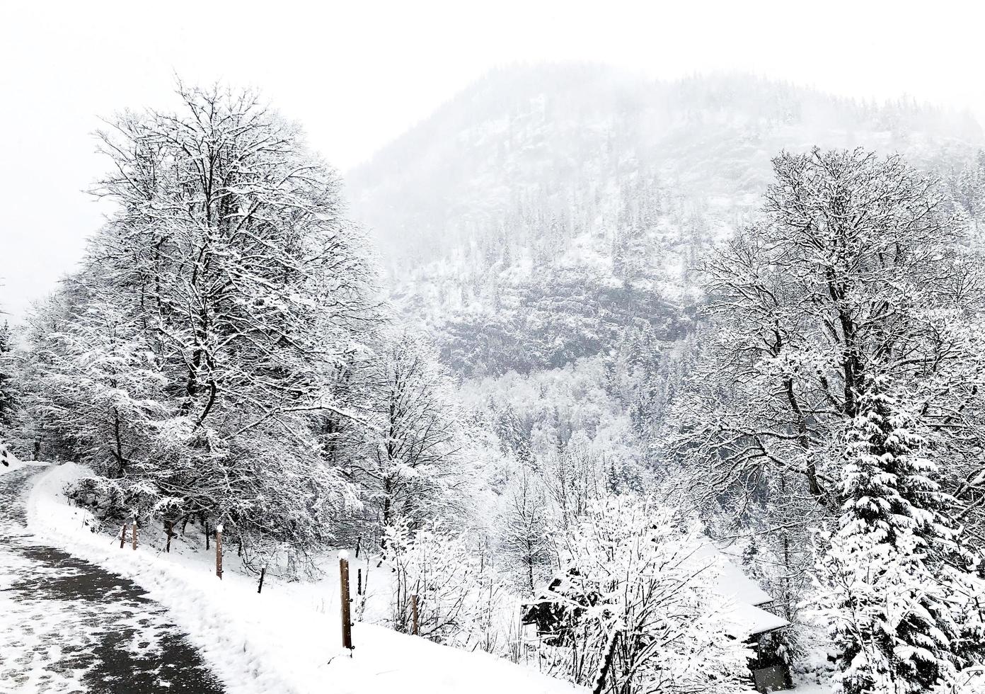 passarela caminhadas aventura ao ar livre de montanha épica para a antiga mina de sal de hallstatt passar a floresta de pinheiros e inverno neve paisagem de montanha aventura ao ar livre, áustria foto