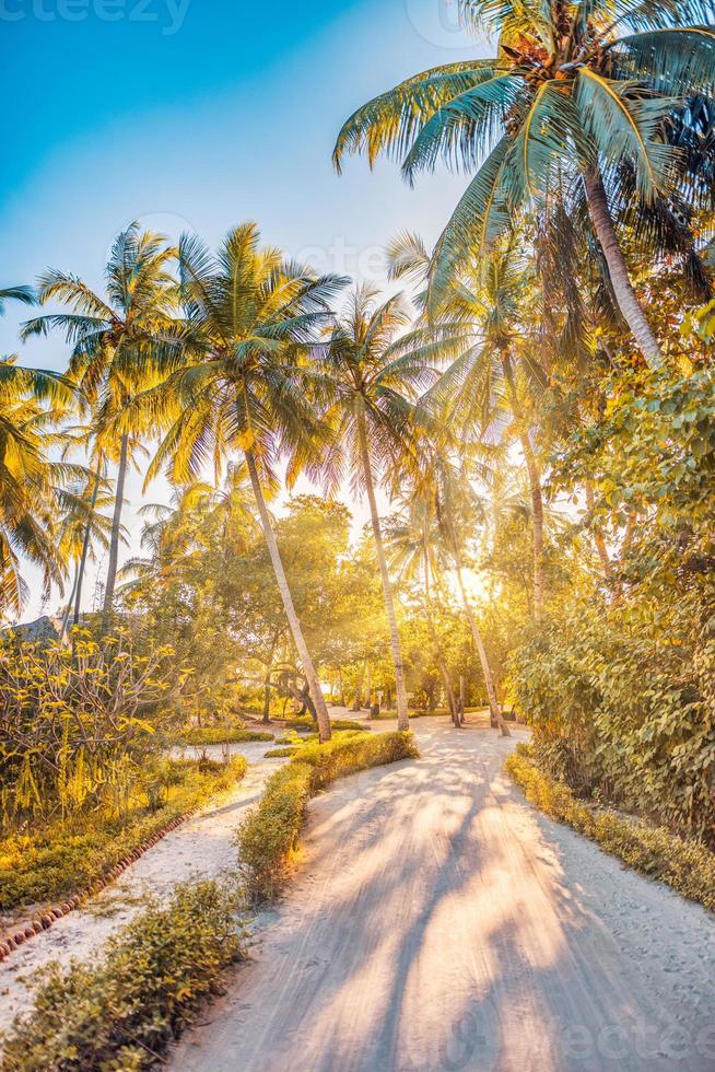 incrível paisagem de verão. caminho da natureza tropical, trilha de aventura da liberdade com raios de sol quente do sol, vigas. lindo caminho de selva de floresta de palmeiras verdes, energia feliz positiva. relaxante folhagem ensolarada foto