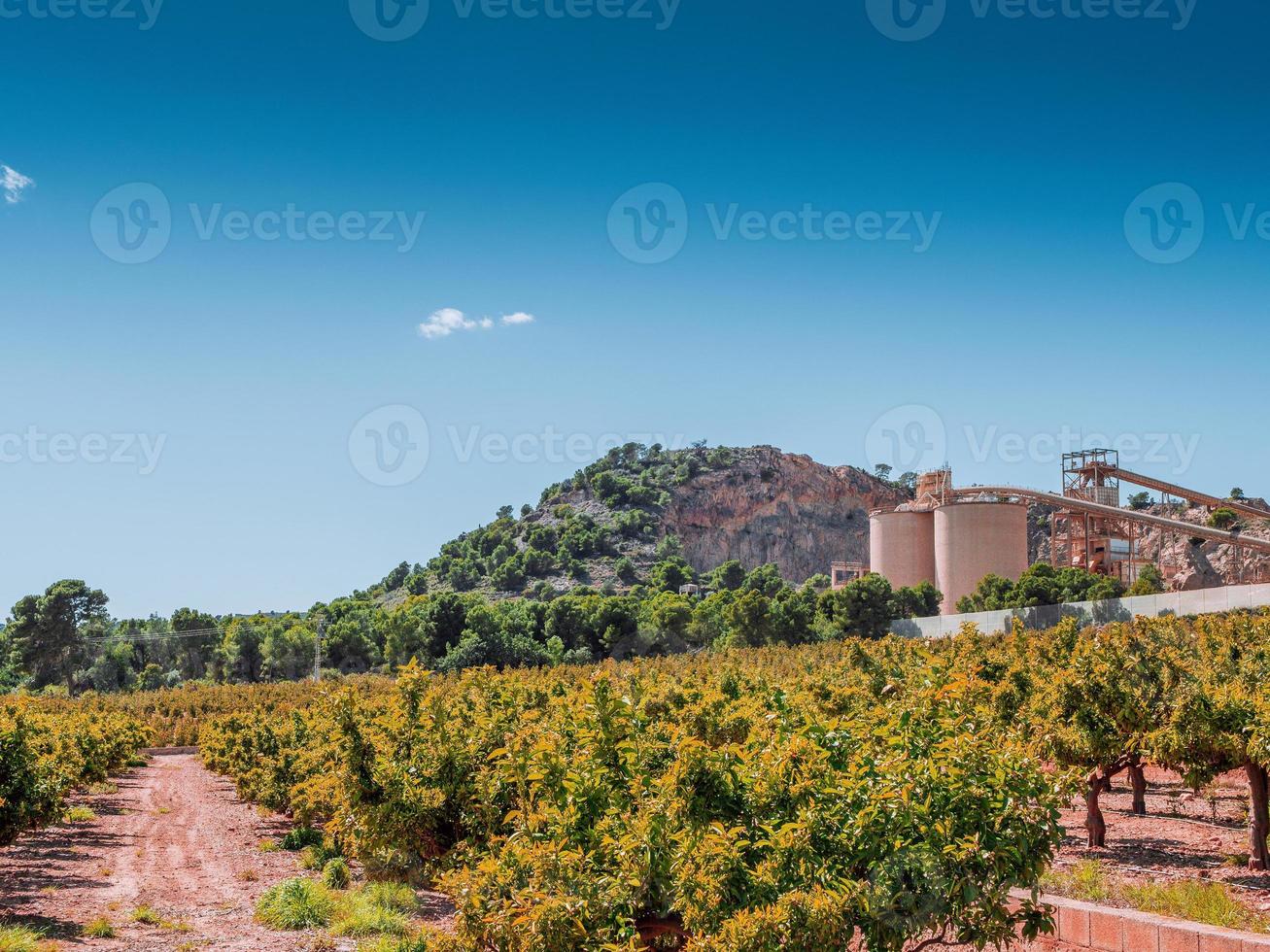 vista do pomar de laranja e a planta de concreto contra o pano de fundo da montanha em um dia ensolarado foto