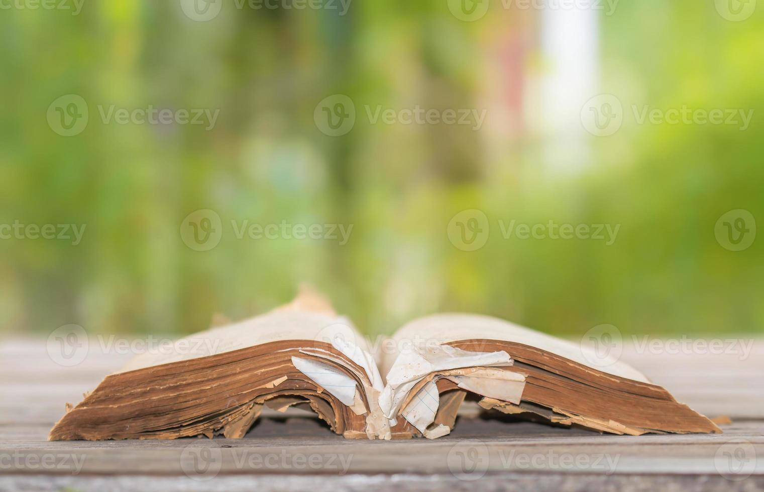 livro antigo aberto na mesa, pano de fundo natureza verde turva foto