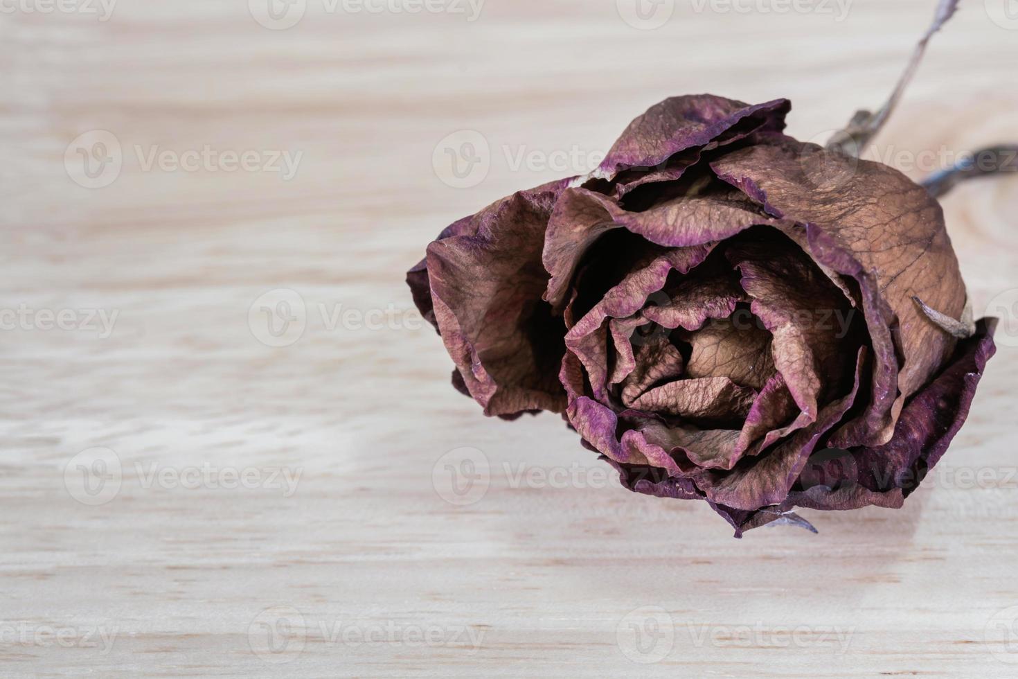 rosas secas em madeira foto