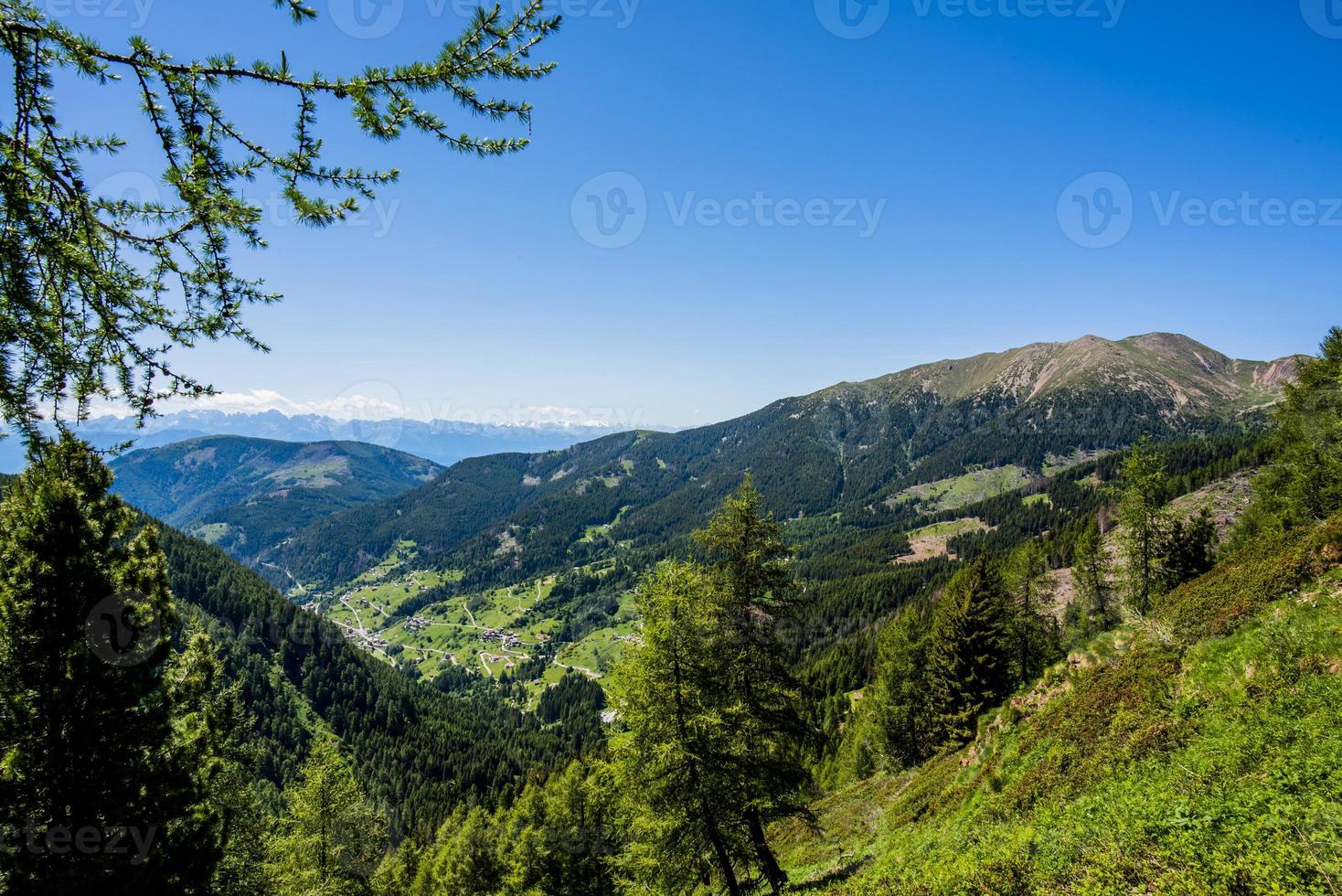 2022 06 11 lagorai vales alpinos na floresta foto