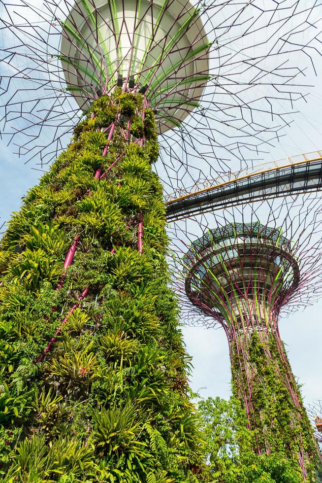 singapore, 12 de maio, jardins da baía em 12 de março de 2014 em singapore. jardins da baía foi coroado edifício mundial do ano no festival mundial de arquitetura 2012 foto