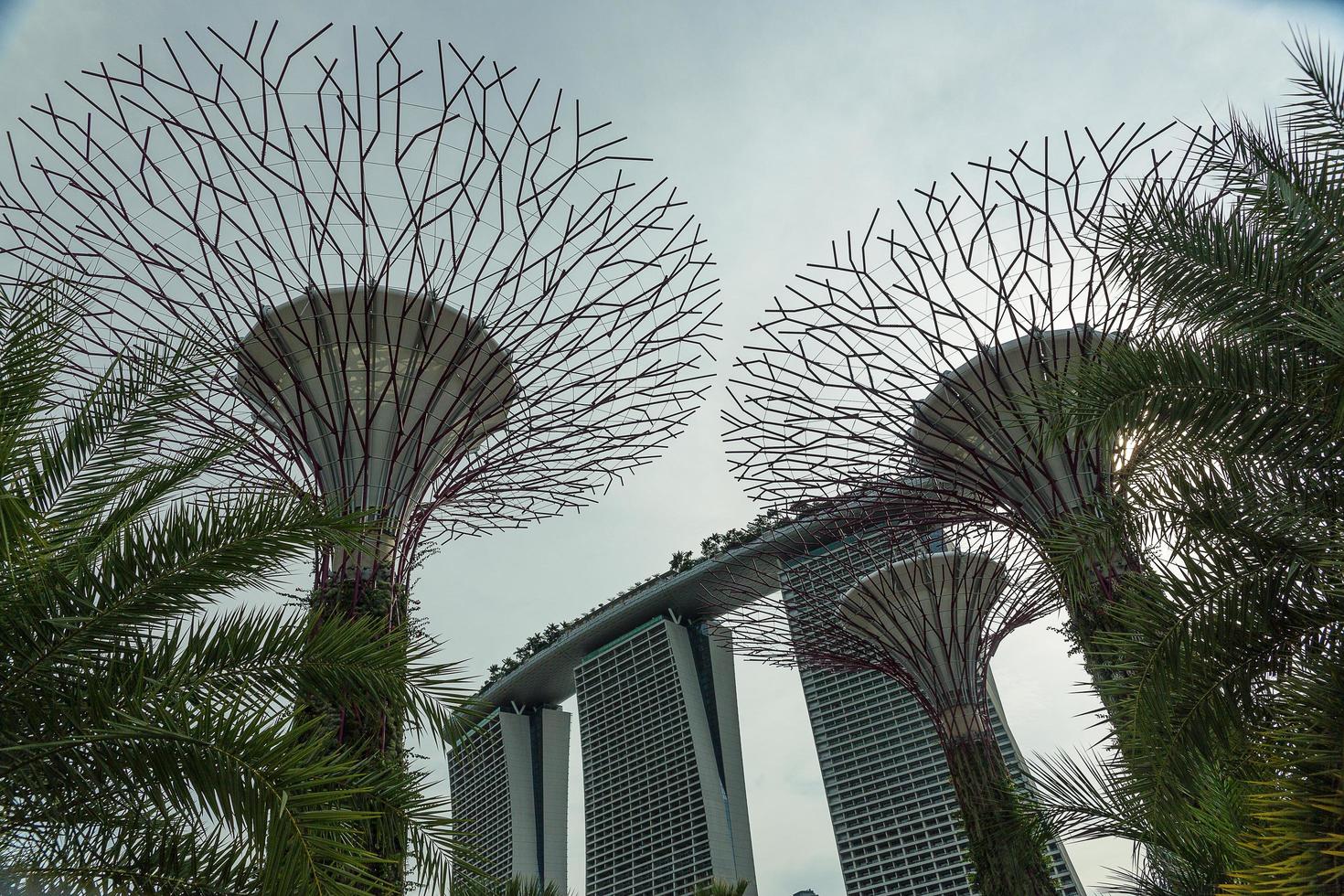 singapore, 12 de maio, jardins da baía em 12 de março de 2014 em singapore. jardins da baía foi coroado edifício mundial do ano no festival mundial de arquitetura 2012 foto