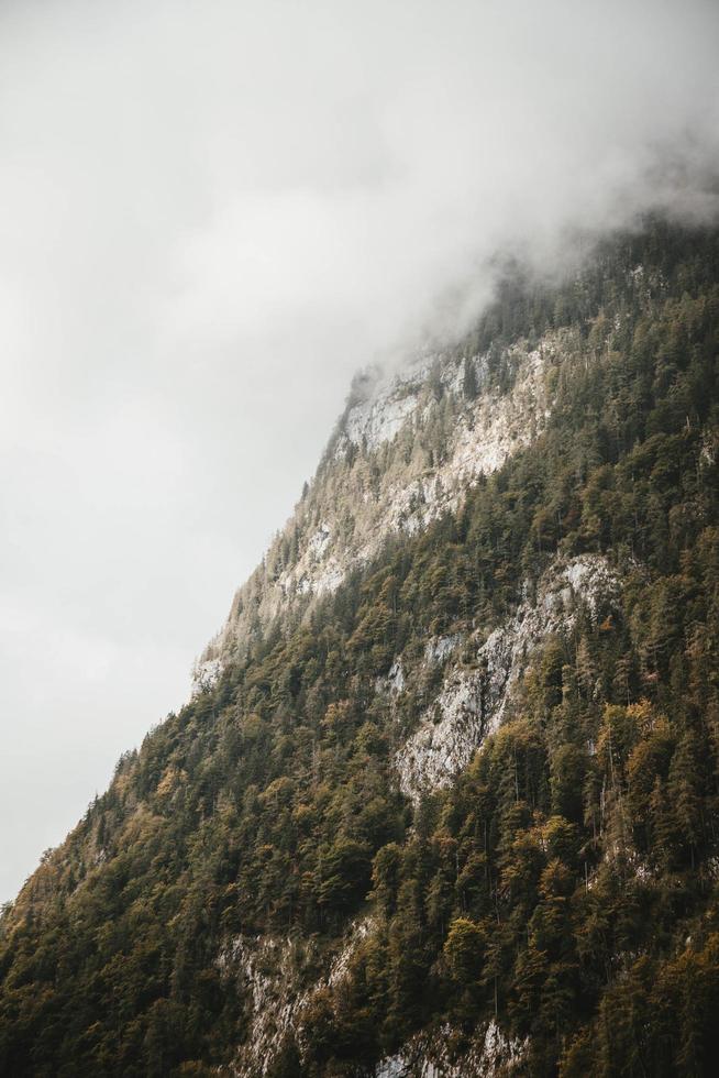 foto de paisagem de montanha e árvores verdes