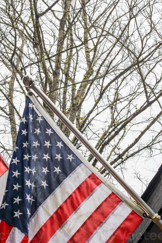 a bandeira americana na frente da casa contra o pano de fundo de uma árvore sem folhas no inverno. foto