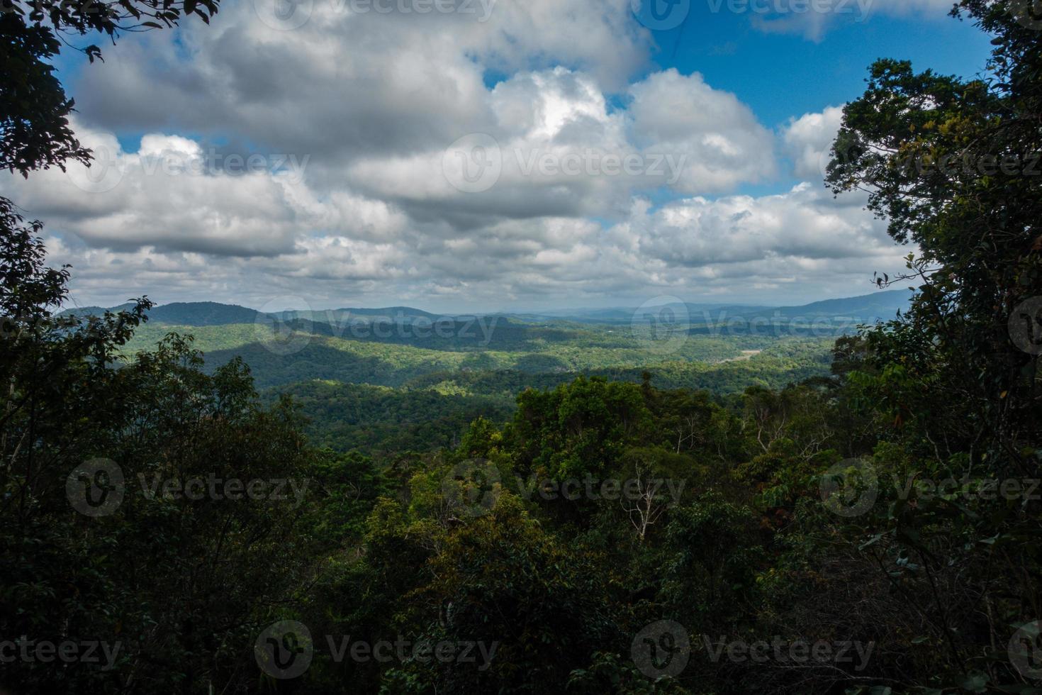 mirante sobre floresta tropical foto