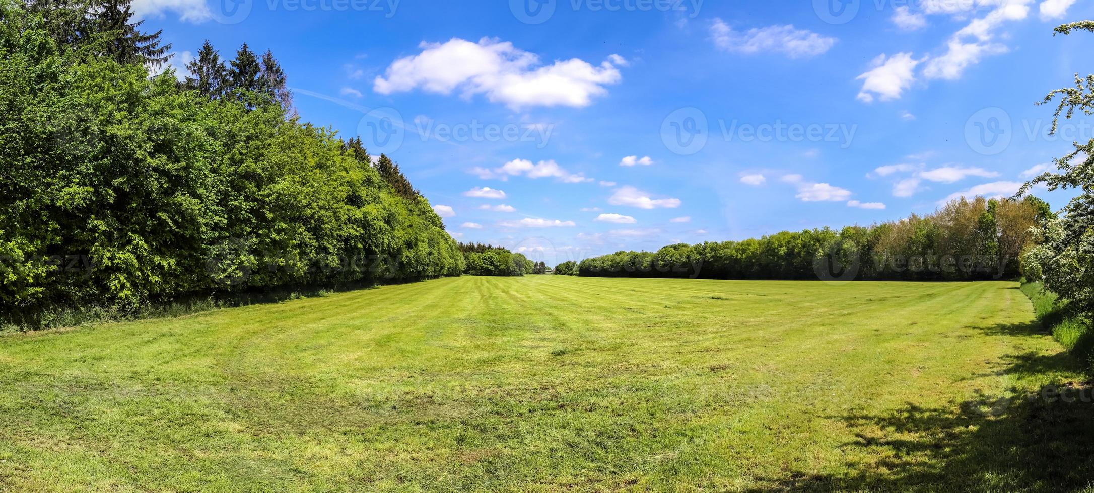 belo panorama de alta resolução de uma paisagem com campos e grama verde encontrada na dinamarca e na alemanha. foto