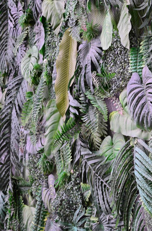 fundo de folhas verdes tropicais, samambaia, palmeira e folha de monstera deliciosa na parede foto