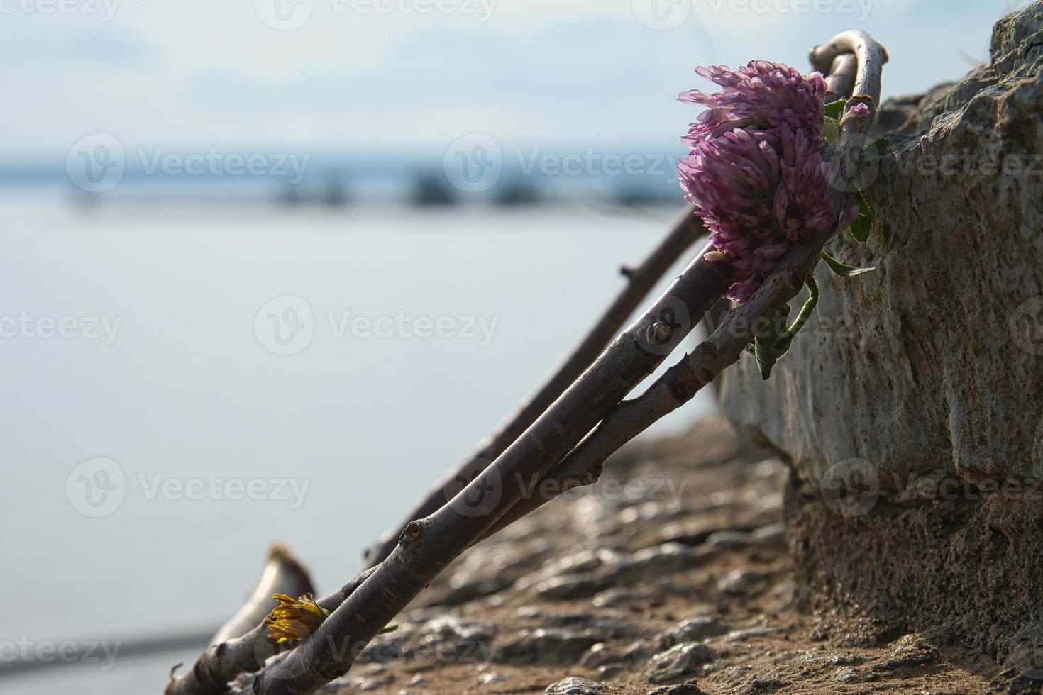 coroa de flores em vaetterm em naes slott ruin na suécia. paisagem foto