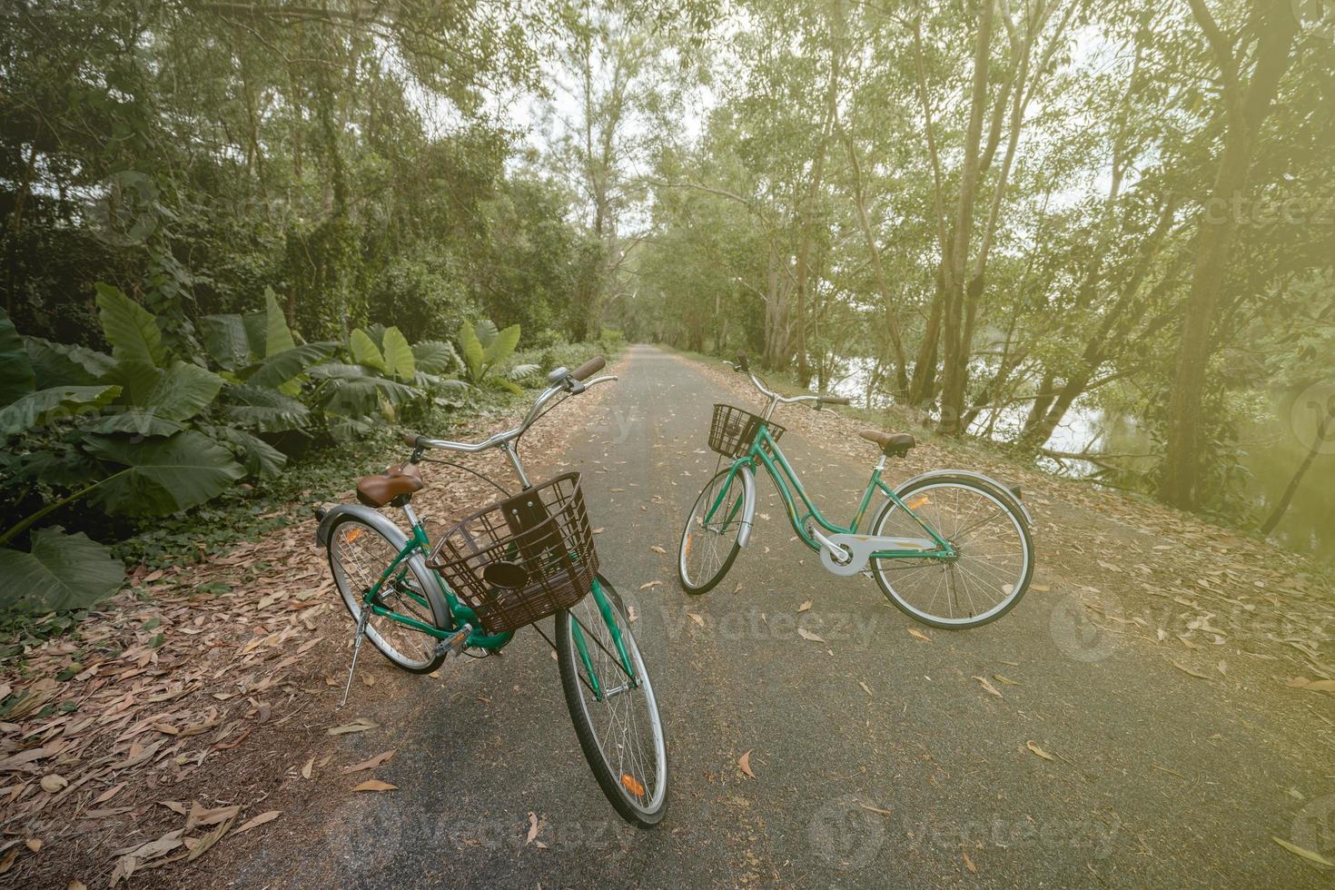 uma bicicleta na estrada com luz solar e árvore verde no parque ao ar livre. foto