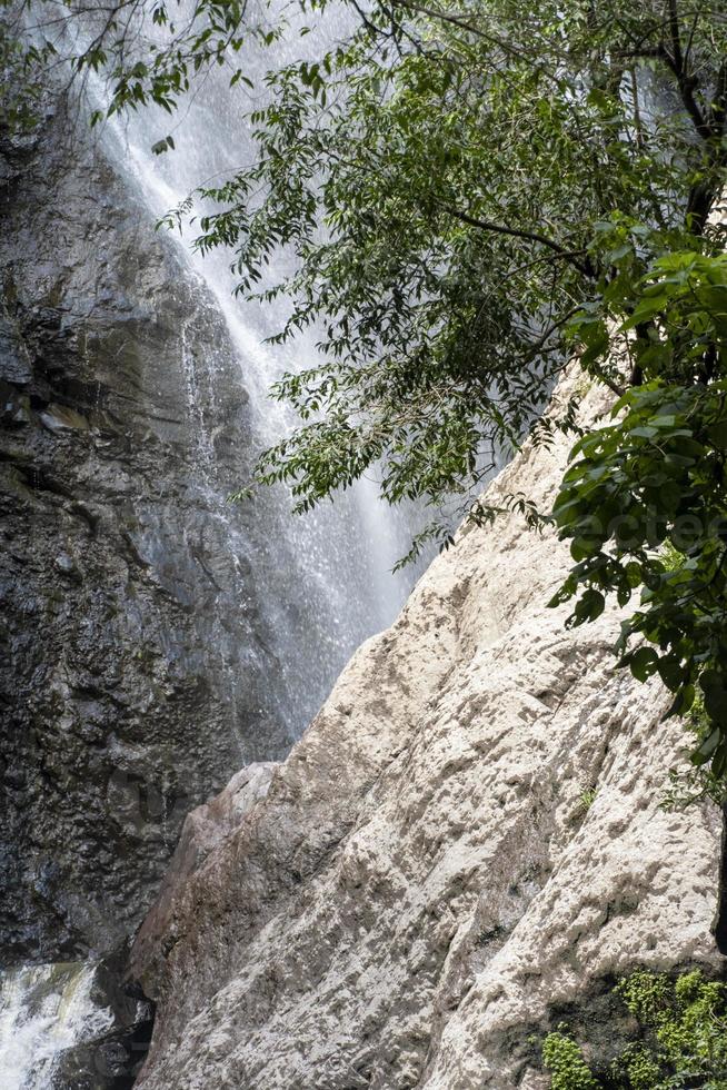 ravina huentitan em guadalajara, cheia de vegetação caindo, várias cachoeiras no méxico foto