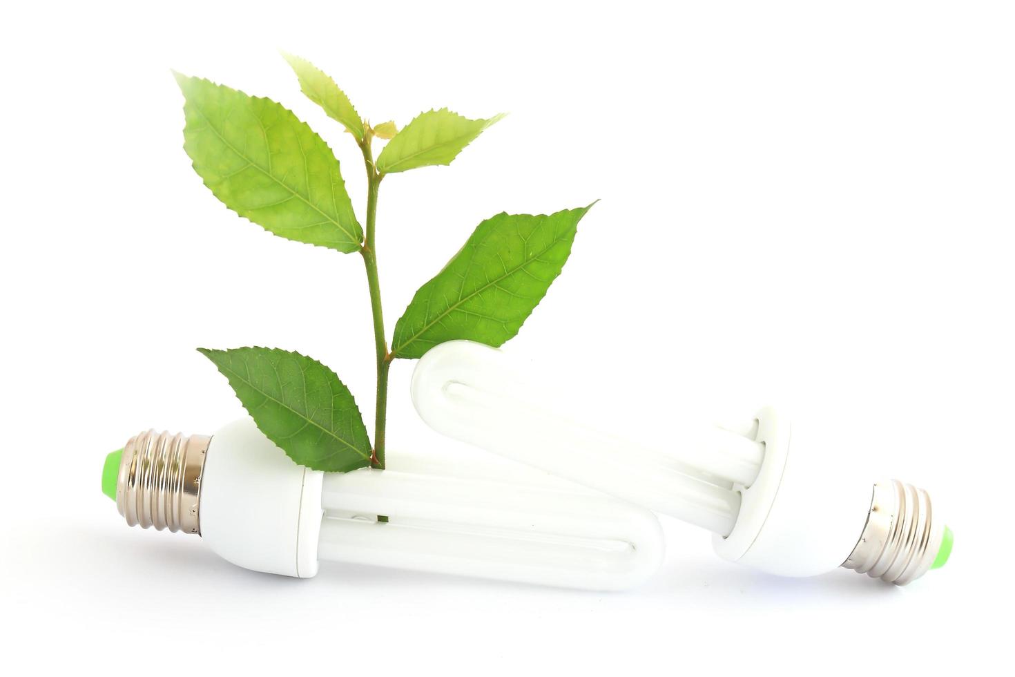 lâmpada de poupança de energia com mudas verdes em branco foto