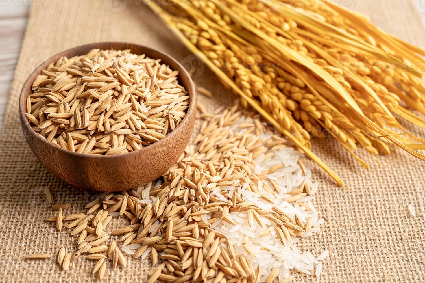 arroz branco de jasmim em uma tigela de madeira com grãos de ouro da fazenda agrícola. foto