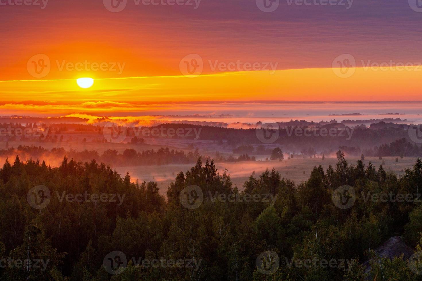 ribeirinha de planície nebulosa ao nascer do sol de verão dourado foto