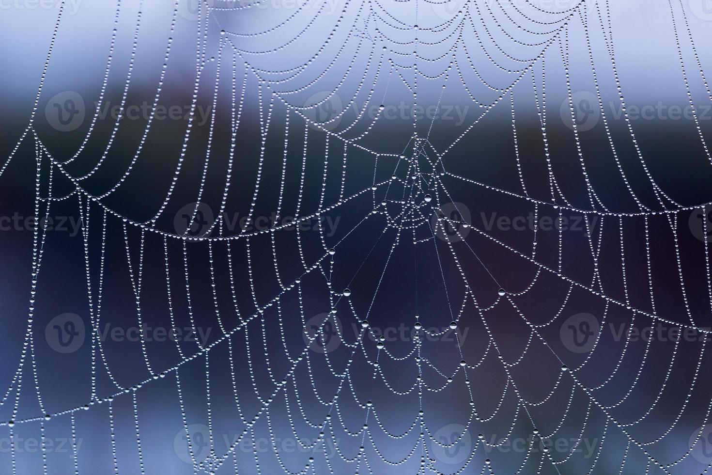 teia de aranha com gotas de orvalho sem aranha de manhã com foco seletivo closeup foto