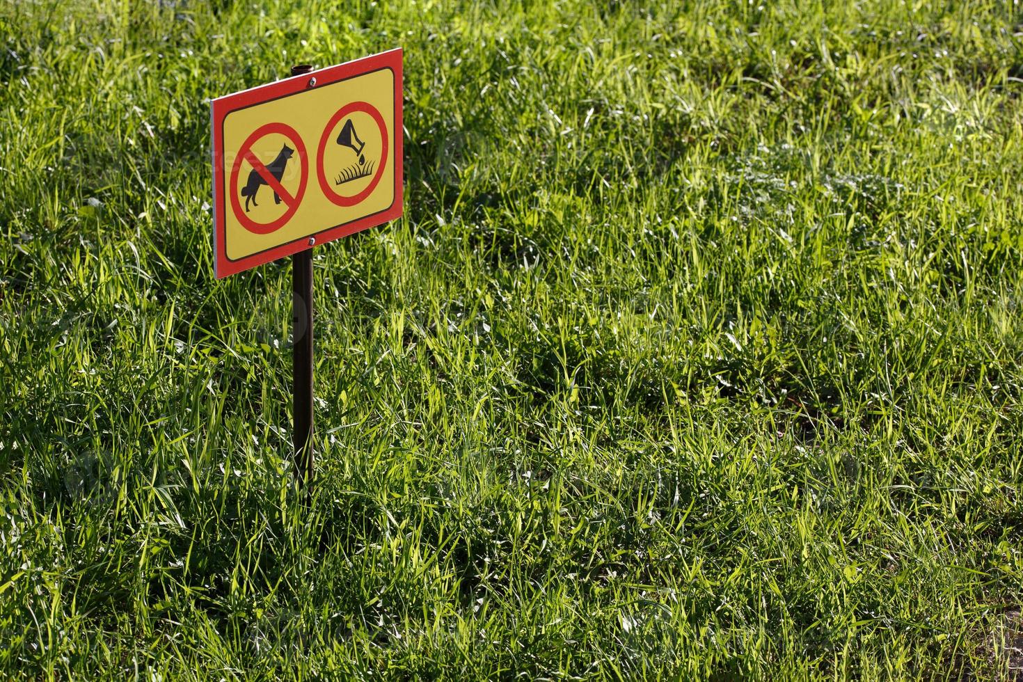 sinal amarelo com aplicação química sem cães no fundo do gramado verde - close-up com foco seletivo foto