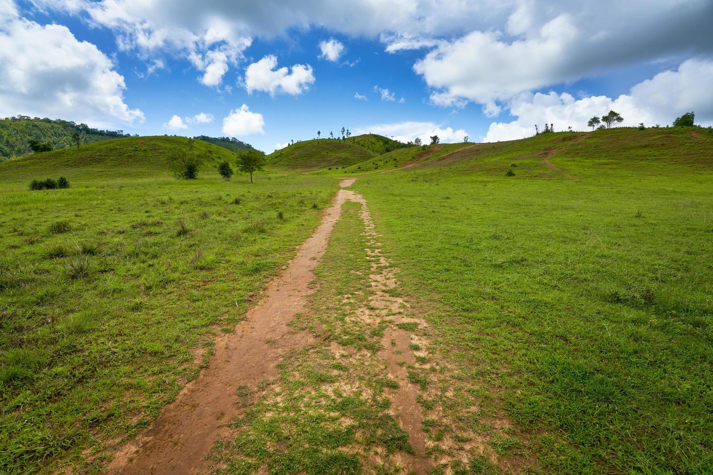 colinas verdes na província de ranong foto