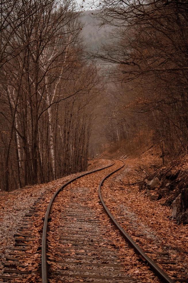 ferrovia em uma floresta de outono foto