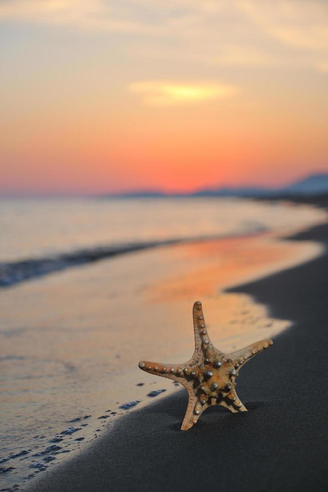 verão praia pôr do sol com estrela na praia foto