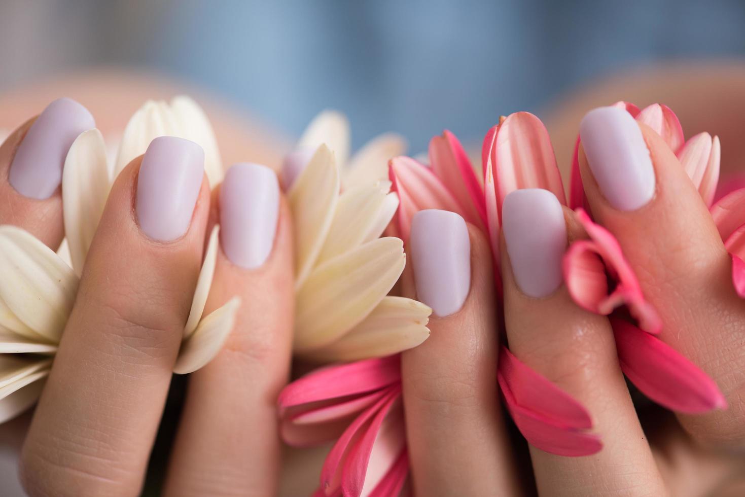 mãos de mulher com manicure segurando flor foto