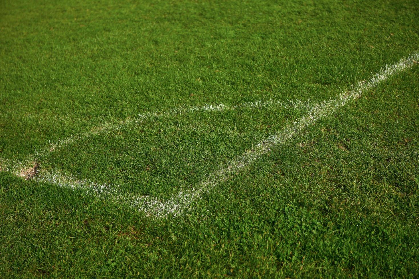 canto do campo de futebol foto