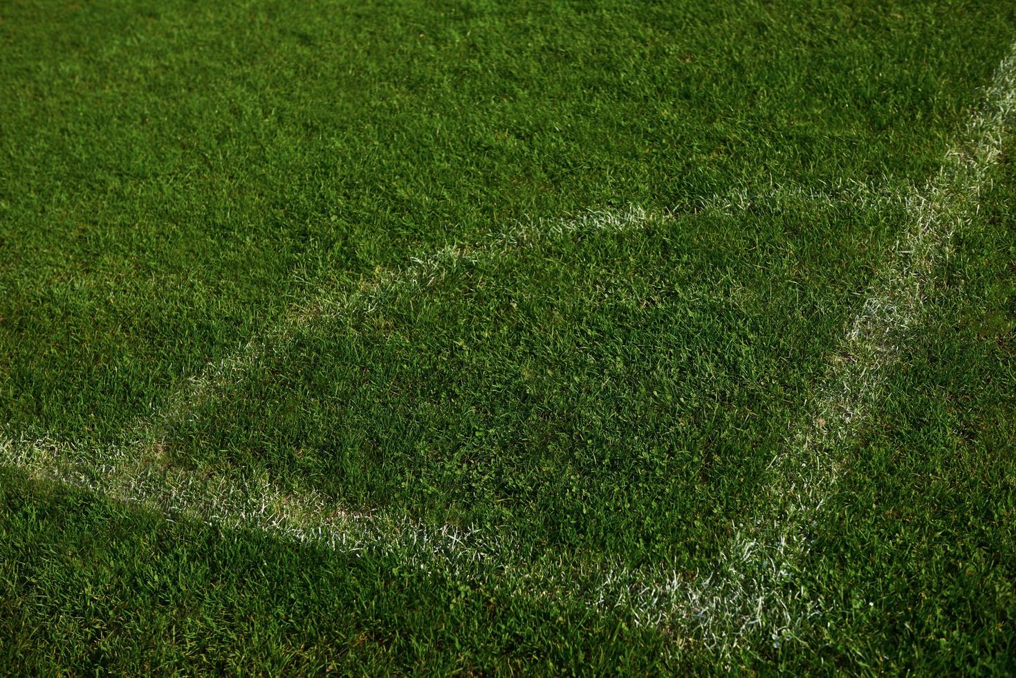 canto do campo de futebol foto