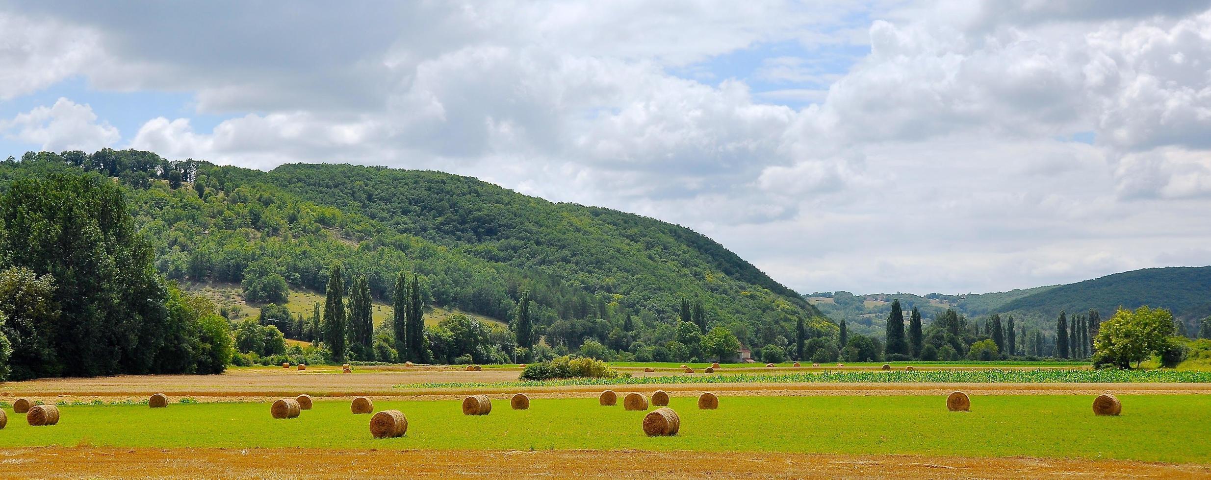 panorama de palheiros em campo durante o dia foto