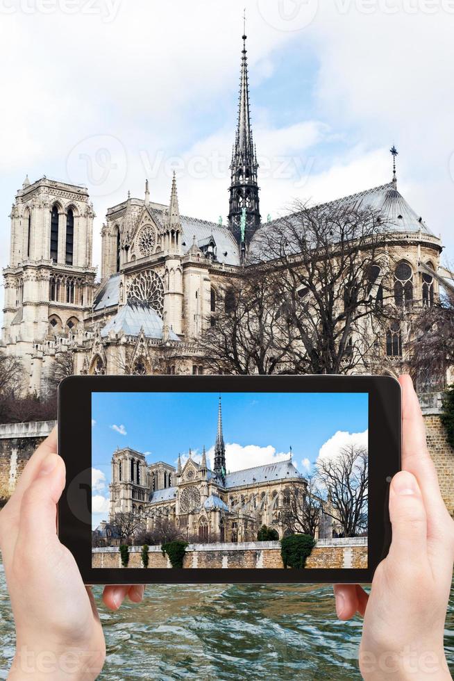 tirando foto da catedral notre-dame de paris