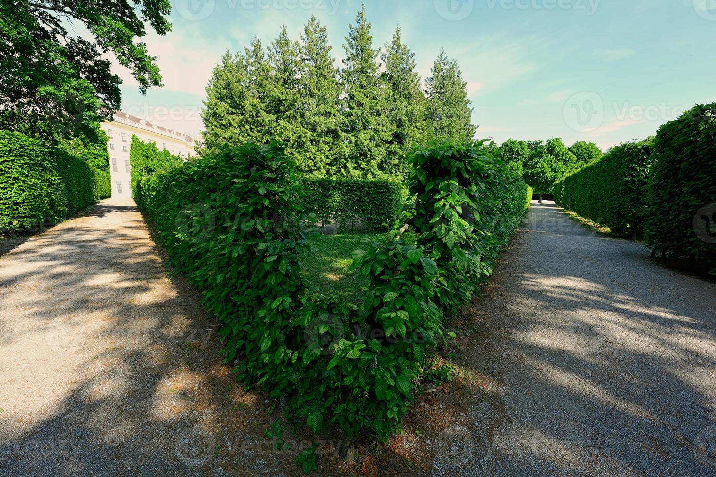 labirintos de arbustos triangulares do palácio de schonbrunn em viena, áustria. foto