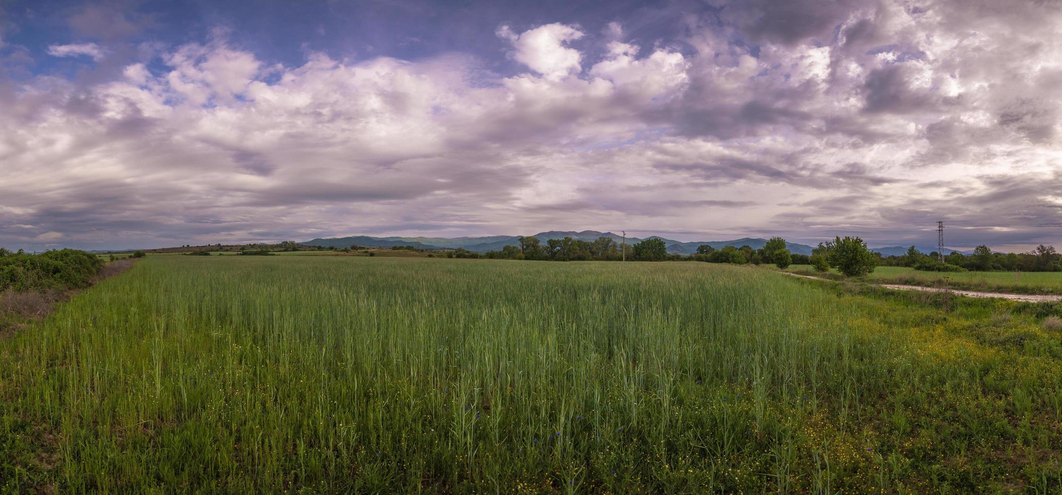 campo gramado com nuvens foto