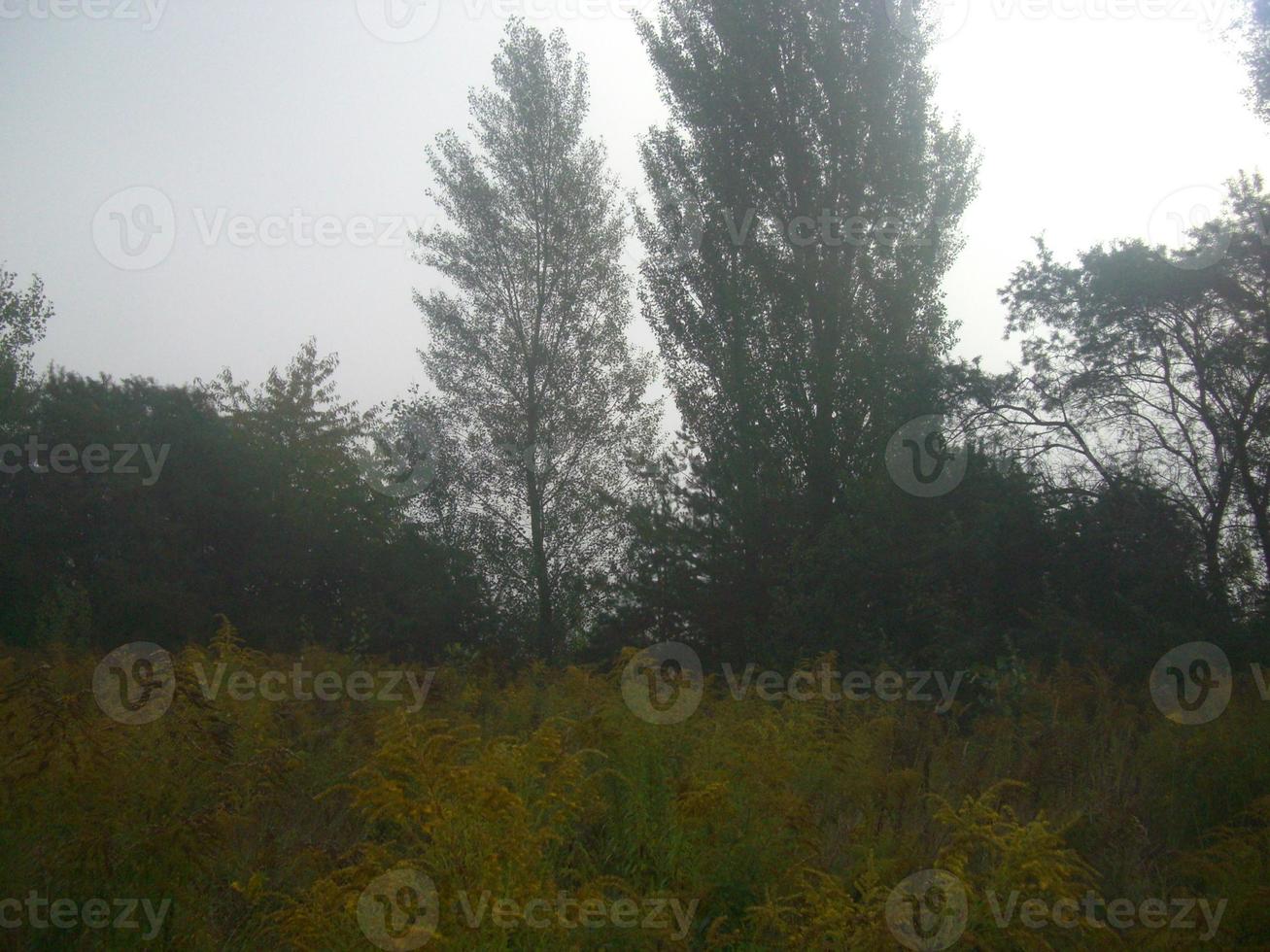 névoa da manhã de outono na aldeia foto