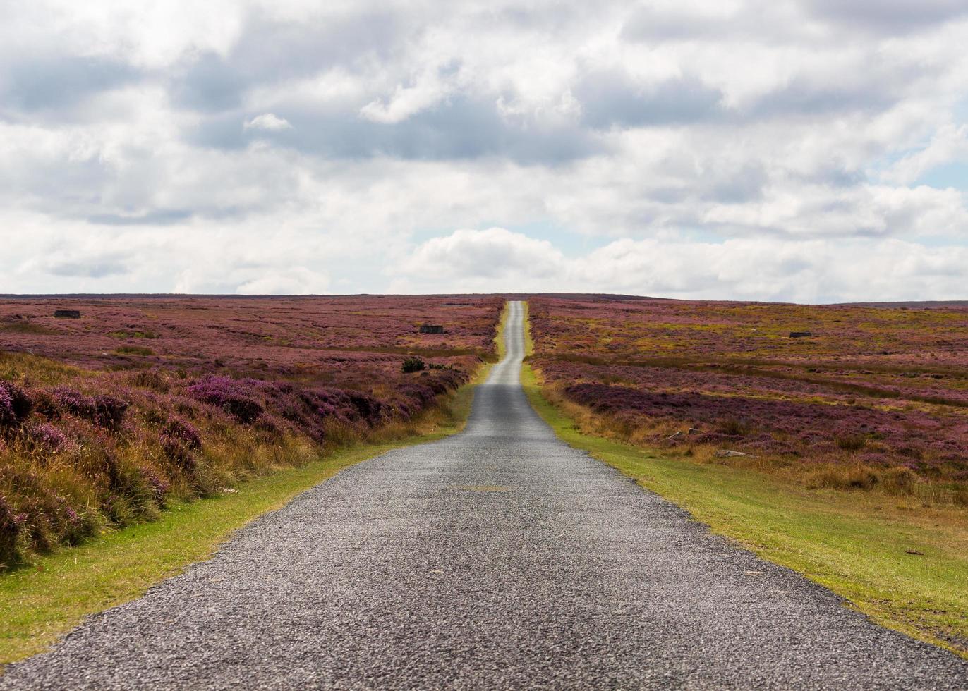 estrada através de North York Moors foto