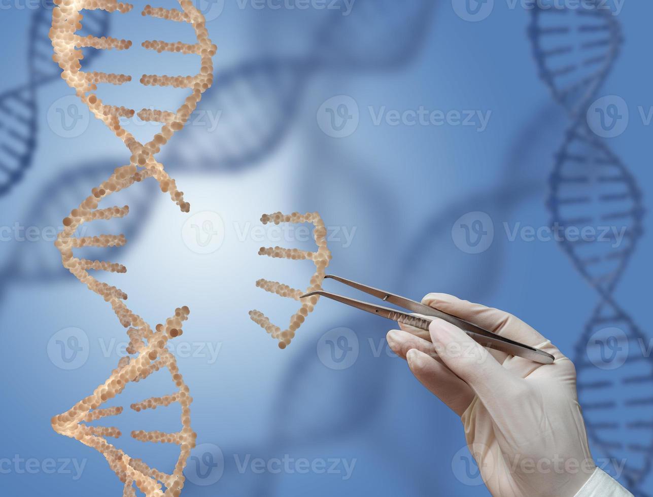 a molécula de DNA foto