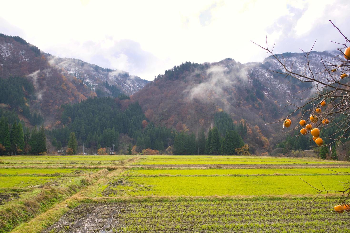 gokayama japão, abundante em recursos naturais, cultura e patrimônio foto