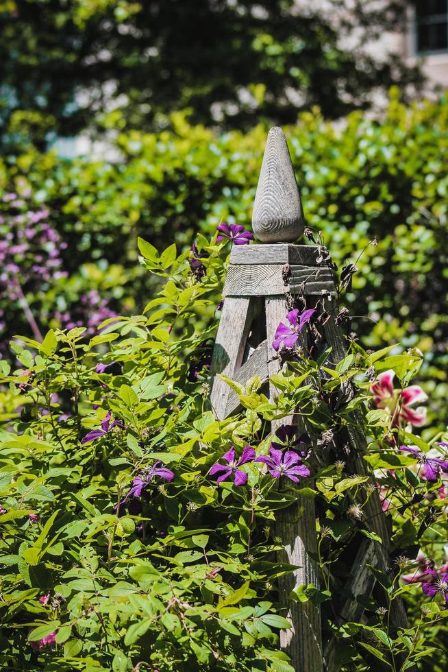 estrutura de jardim de madeira foto