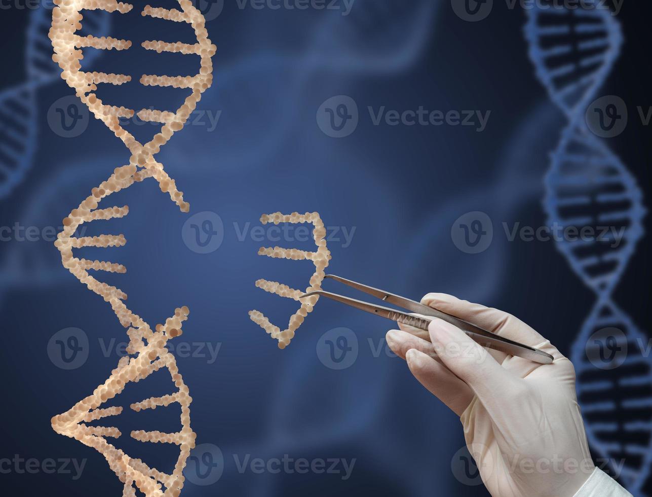 a molécula de DNA foto