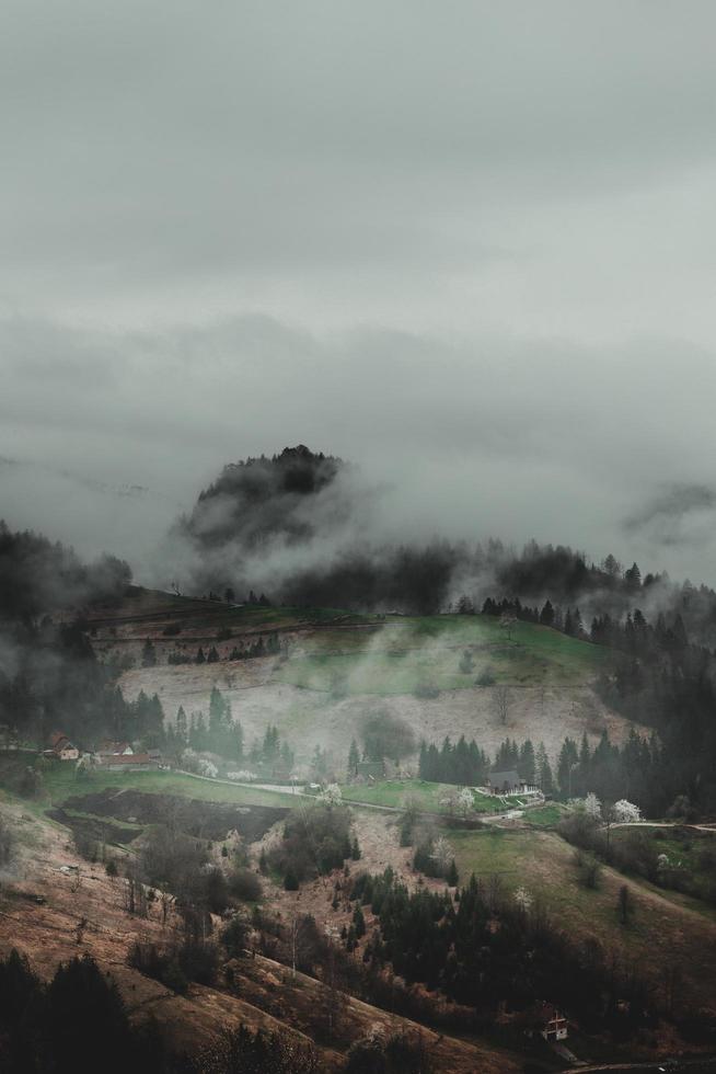 campo de grama verde sob nuvens brancas foto