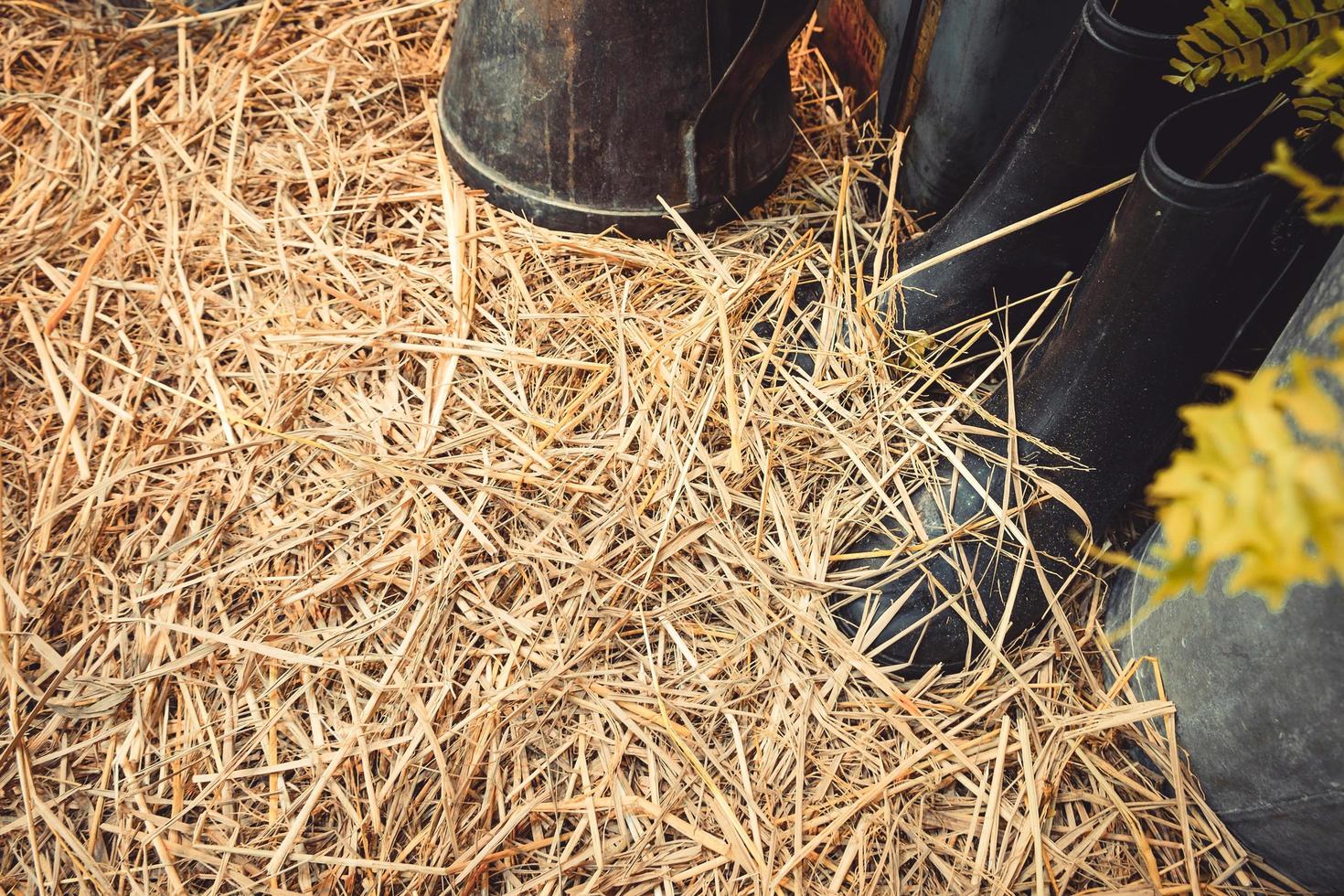 botas em uma cama de feno de fazenda foto