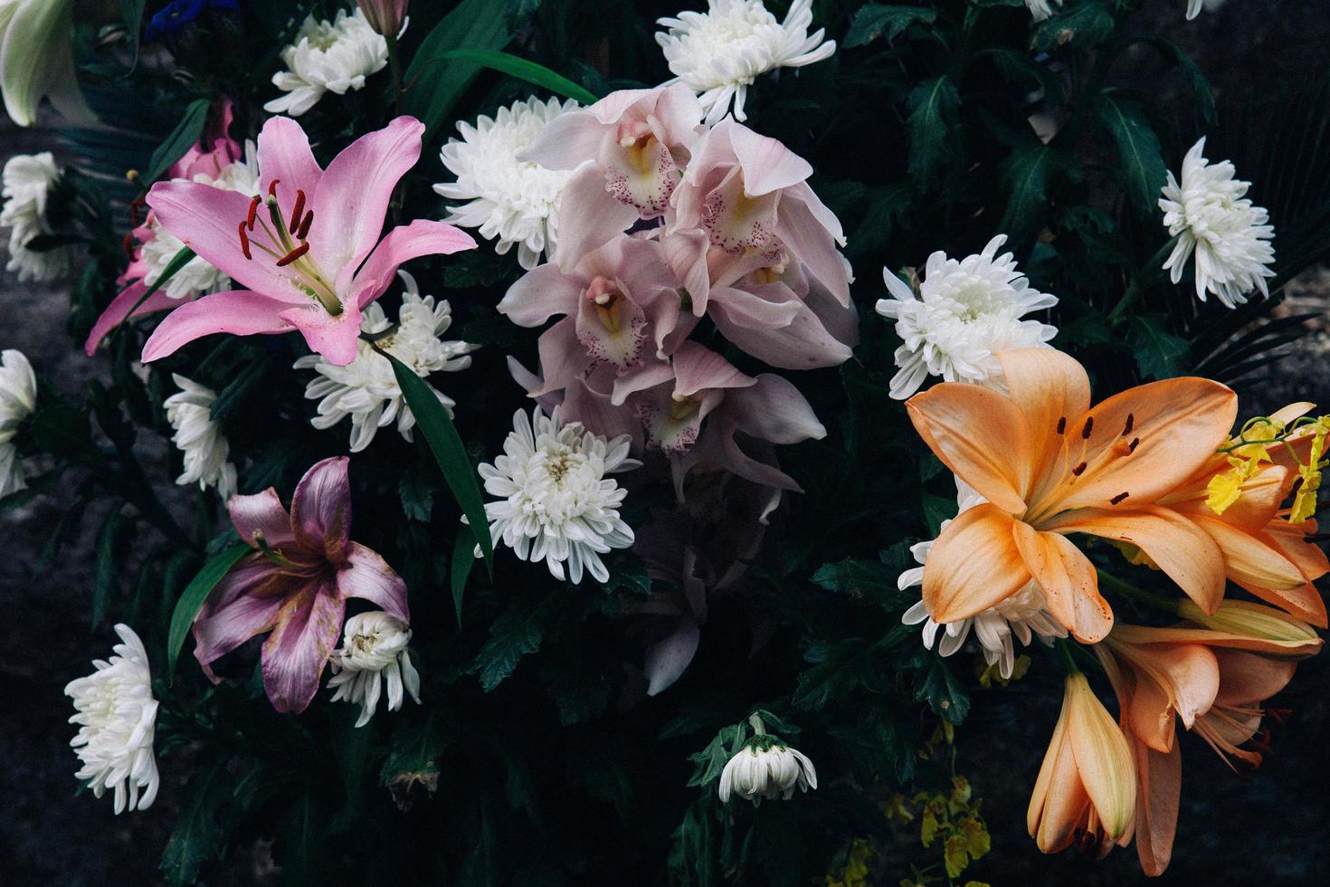 close-up de flores foto