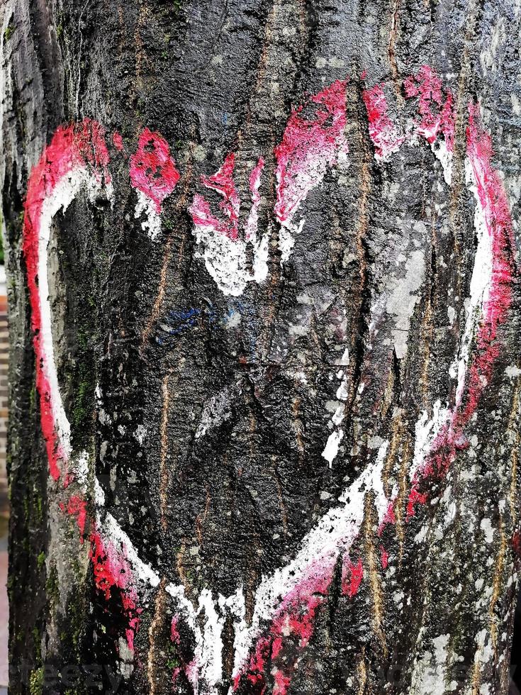coração desenho em uma casca de árvore foto