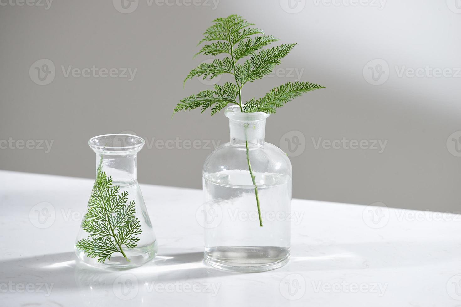 água clara em frasco de vidro e frasco com licença verde natural em fundo de laboratório de ciências de biotecnologia foto