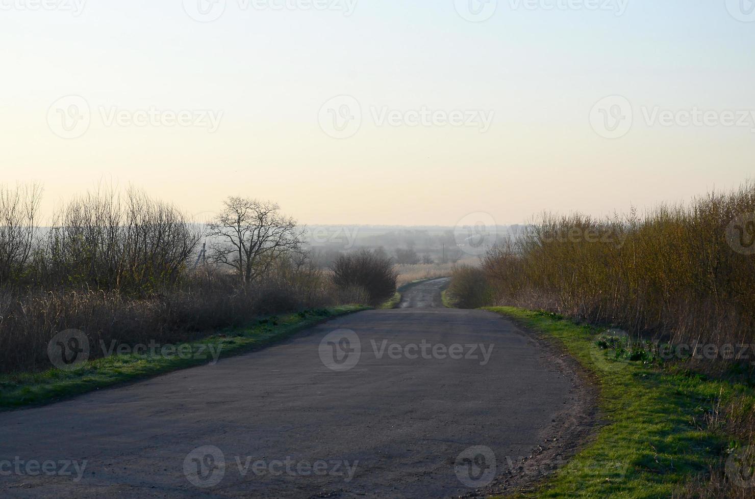 amanhecer na aldeia. estrada asfaltada, deixando longe na distância entre os campos foto