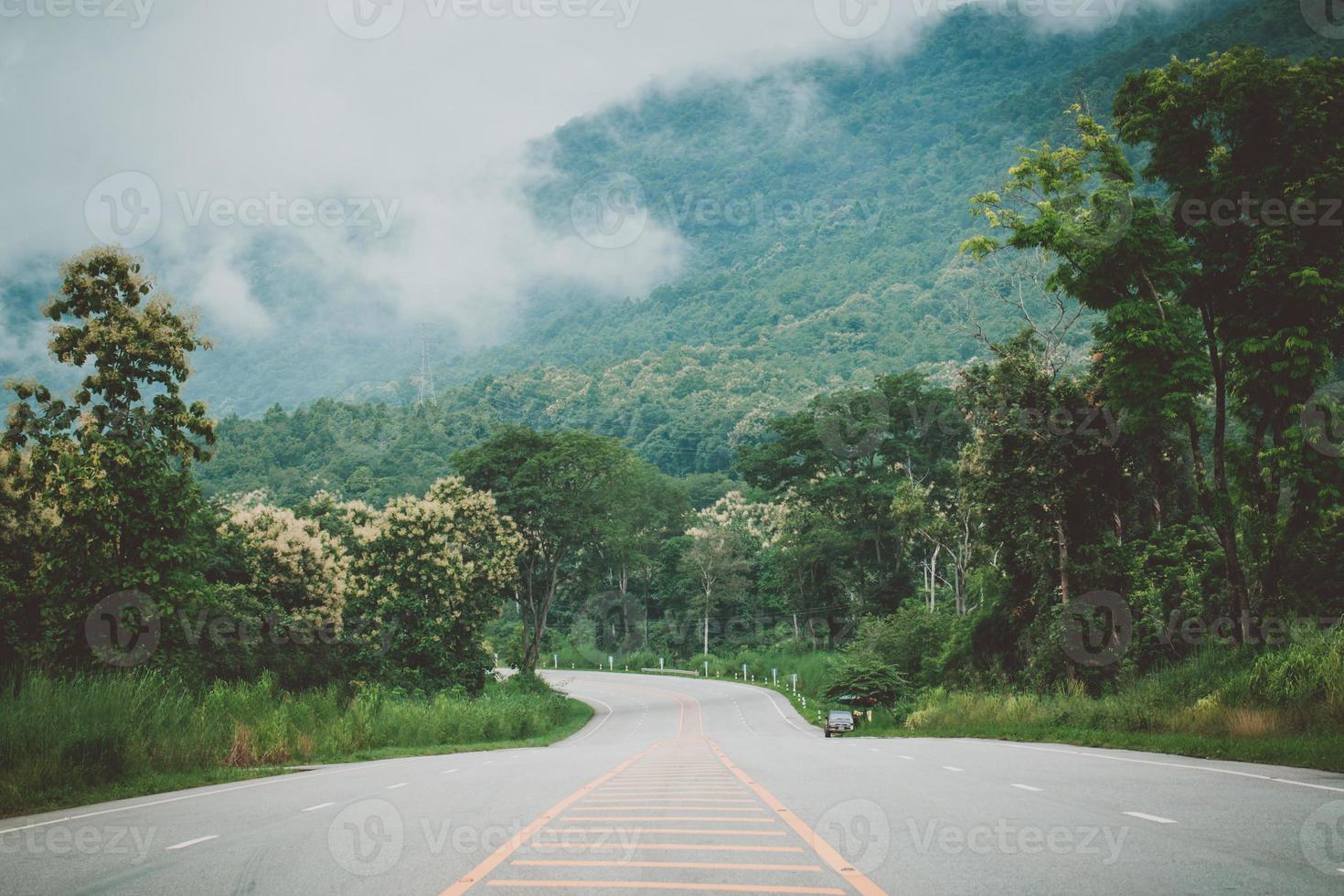 estrada ao lado de árvores ao sol foto