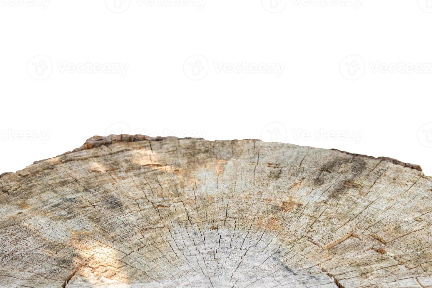 toco de árvore isolado no fundo branco foto