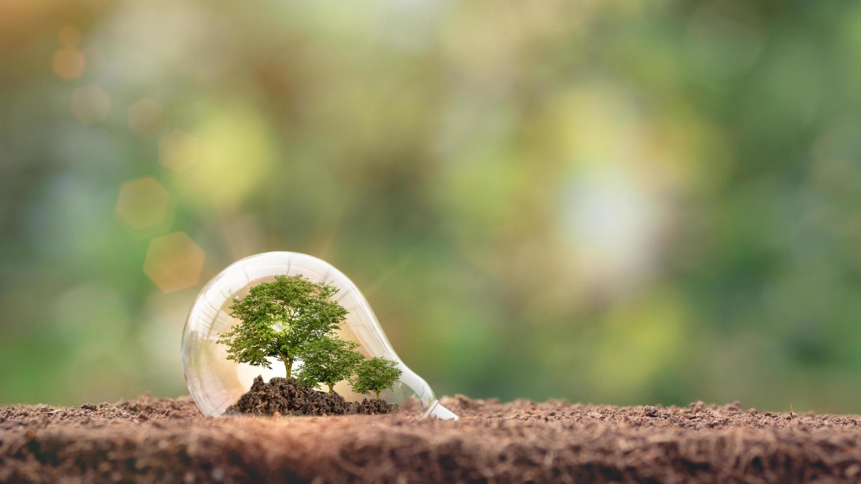 lâmpada no solo em fundo natural proteger o meio ambiente energia renovável fontes de energia renovável sustentável inovação de energia verde e tecnologia de energia ambientalmente amigável. foto